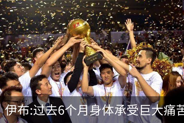 伊布:过去6个月身体承受巨大痛苦 只为帮球队夺冠