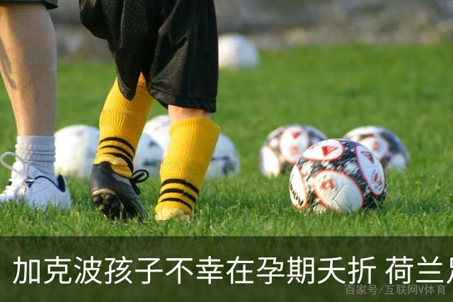 加克波孩子不幸在孕期夭折 荷兰足协：球员愿留队征战